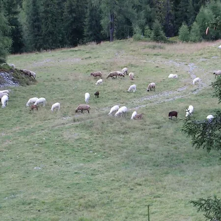 Dachsteinblick * Haus im Ennstal
