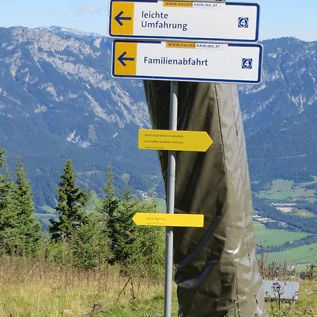 Dachsteinblick