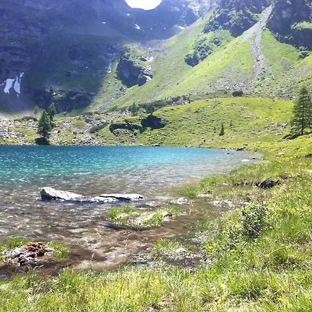 Dachsteinblick *