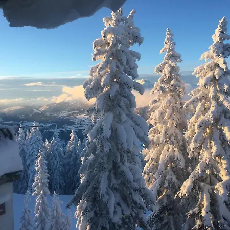 Dachsteinblick