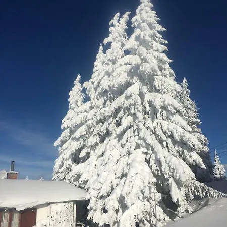Dachsteinblick Haus im Ennstal